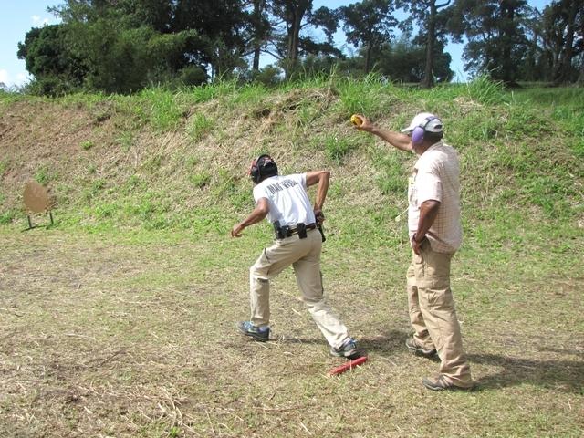 IMG 2256