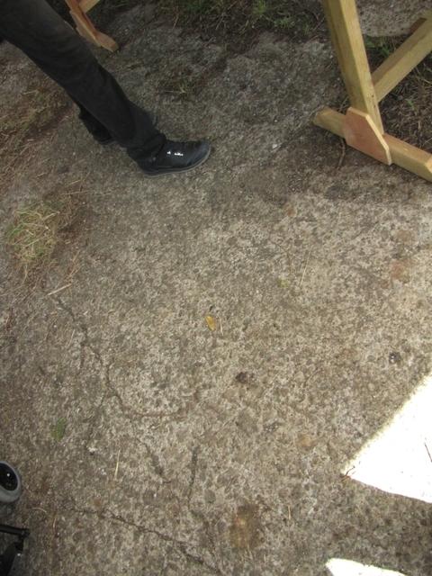 IMG 2287