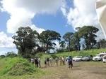IMG 2286